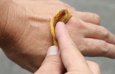 Découvrez les usages incroyables des peaux de fruits !