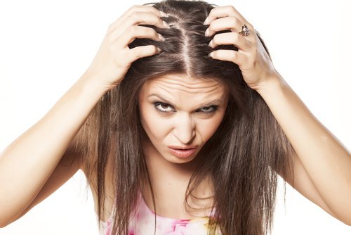 pourquoi le jus d'oignon permet de lutter contre la chute des cheveux 