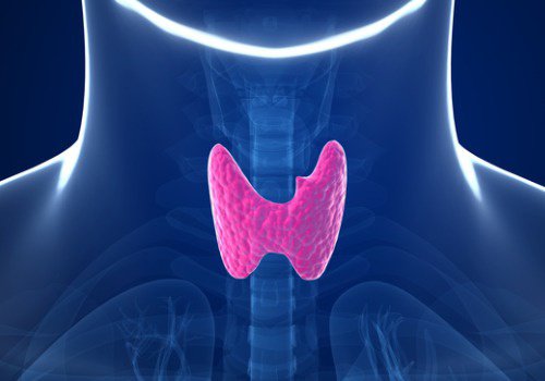 Thyroide-500x350