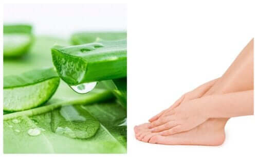 Comment lutter contre les mycoses aux pieds avec de l'aloe vera?