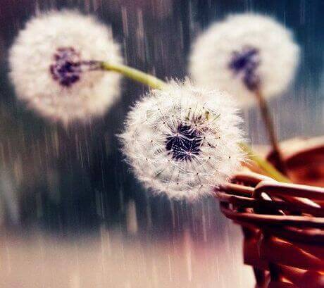 Apprendre la patience.