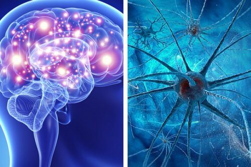 9 habitudes qui tuent les neurones et affectent la santé cérébrale