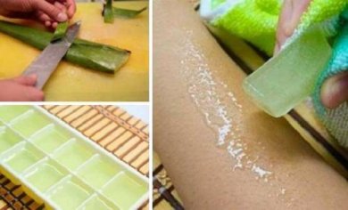 Découvrez les raisons de congeler du gel d'aloe vera