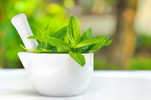 Bienfaits-de-la-menthe-500x333