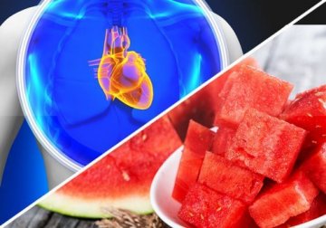 Les grands bienfaits de la pastèque