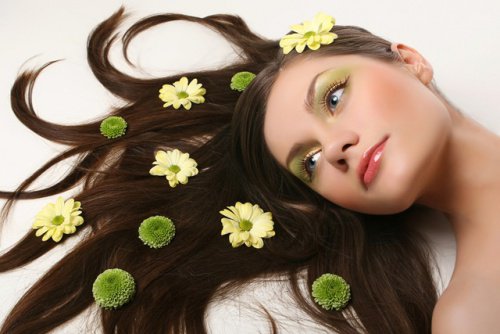 Plantes-pour-la-beaute-et-les-cheveux-500x334