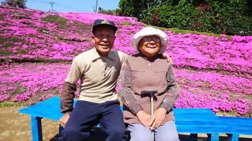 Un Japonais a planté des milliers de fleurs pour que son épouse aveugle puisse les sentir