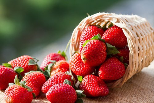 Fraises1-500x334