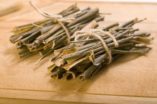 Infusion d'écorce de saule