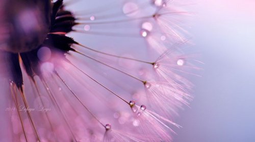 l'amour et le soutient : je le mérite.