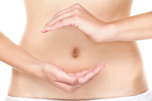 Sante-digestive-500x334
