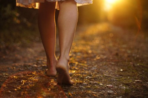 chemin-shutterstock_92746561-500x333