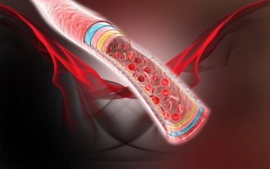 Les 5 meilleures infusions pour garder une circulation saine