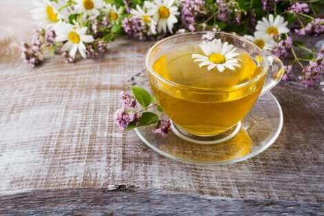 Infusion de camomille 