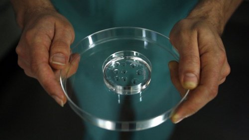 manipulation en laboratoire