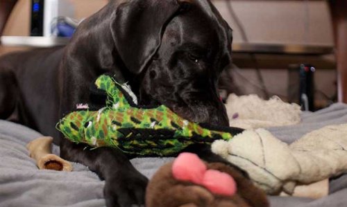 Jouets-500x299