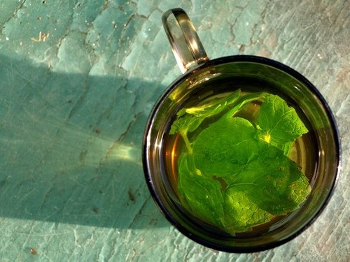 Comment préparer une infusion de menthe pour les maux de tête et d'estomac