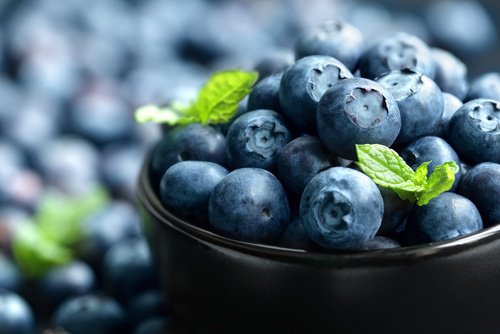 aliments pour stimuler votre métabolisme : myrtilles
