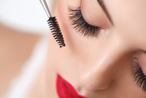 Choisir-brosse-adaptee-500x334