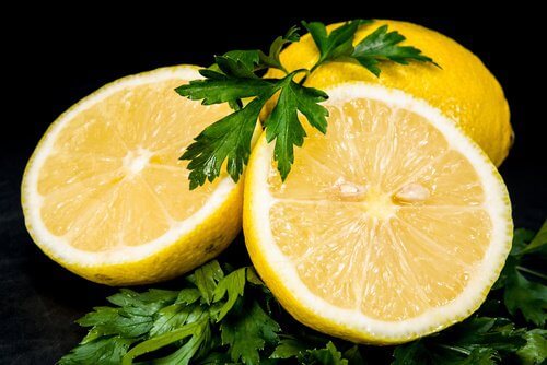 Citron-et-persil-500x334