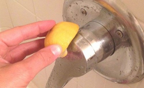Citron-nettoyer-1-500x305