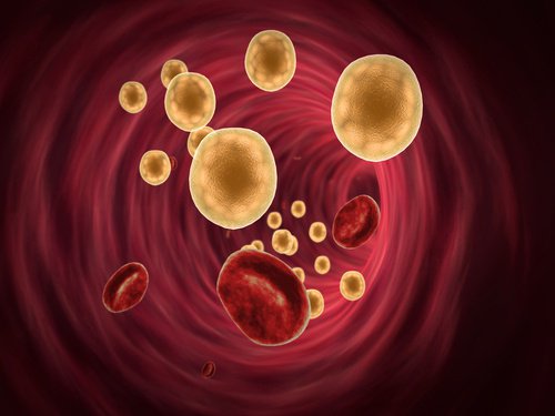 Combat-le-cholesterol-500x375