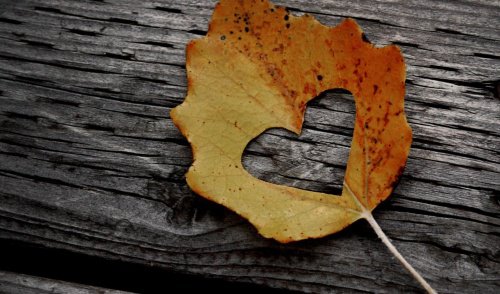 Les amours matures : les plus tranquilles, les plus sages