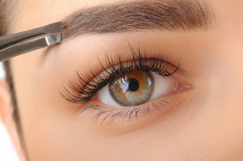 La forme des sourcils.