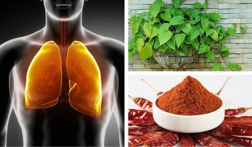 Comment faire une purification des poumons et des bronches ?