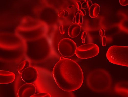 Des aliments pour augmenter le taux d'hémoglobine