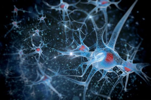 8 habitudes qui affectent votre santé cérébrale sans que vous vous en rendiez compte 8 habitudes qui affectent votre santé cérébrale sans que vous vous en rendiez compte