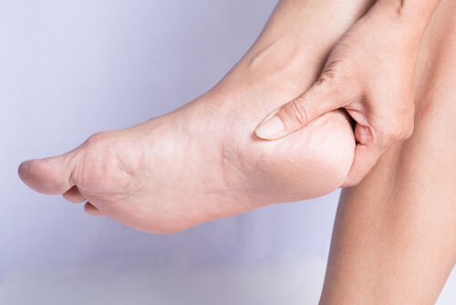 Causes et traitements des éperons calcanéeux Causes et traitements des éperons calcanéeux