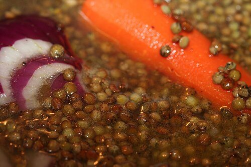 lentilles