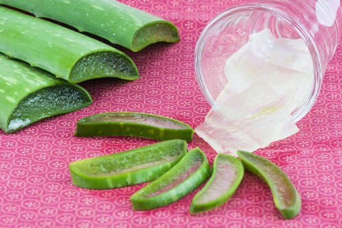 Comment-congeler-du-gel-d-aloe-vera-500x334