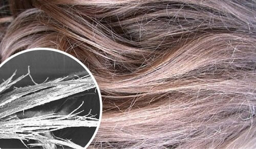 Découvrez comment réparer vos cheveux abîmés