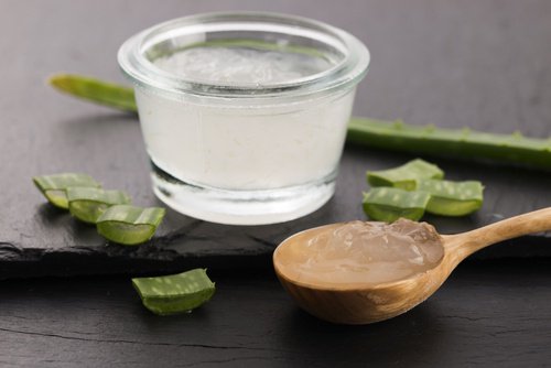 Aloe vera contre la fatigue.