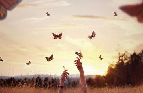 mains et papillons 