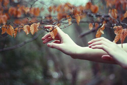 Mains-touchant-des-feuilles