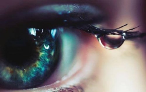 Oeil-Copy