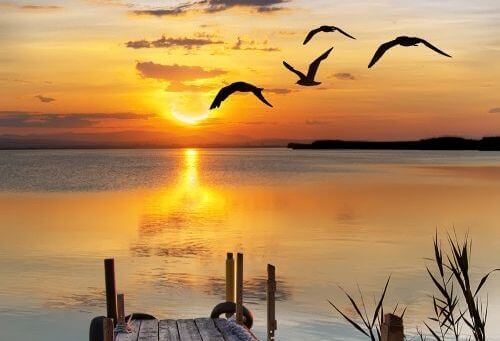 Paysage-plage