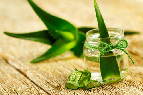 Feuille d'aloe vera dans un bocal