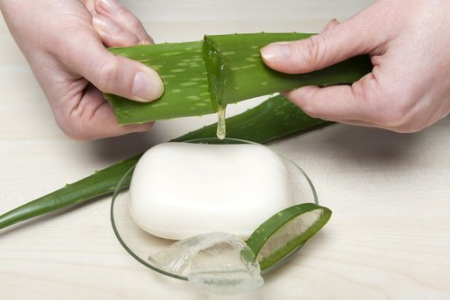 Savon à l'aloe vera