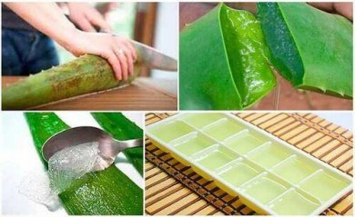 Les meilleures façons de conserver le gel d'aloe vera