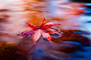 Se laisser flotter pour combattre le stress