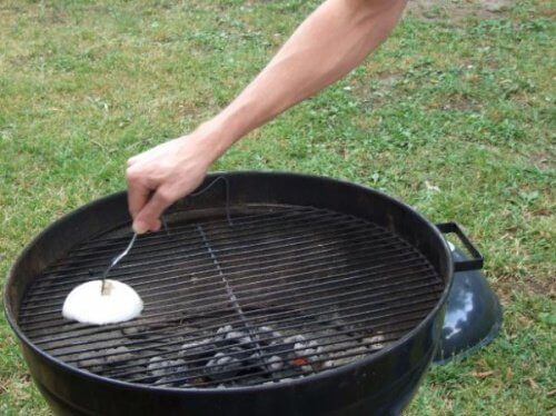 De l'oignon pour nettoyer le barbecue
