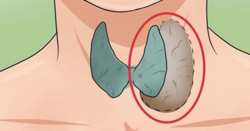 7 signes qui indique que votre thyroïde ne fonctionne pas bien