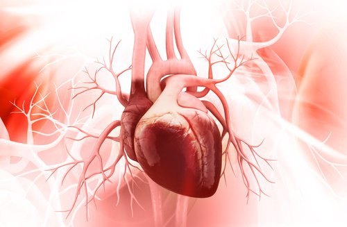 Syndrome du cœur brisé : 3 aspects à prendre en compte Syndrome du cœur brisé : 3 aspects à prendre en compte