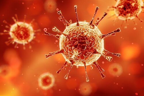 Comment augmenter les défenses immunitaires de notre organisme ?
