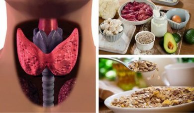 Qu'est-ce que l'hypothyroïdie? Comment la combattre avec l'alimentation?