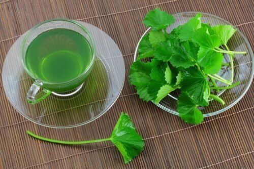 Infusion-de-persil-et-de-clous-de-girofle
